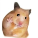 pigaqiu