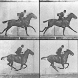 Every Frame A Painti