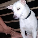 Jethro Perlada_7465