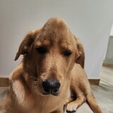 pluto_cut