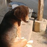 มาเล่นเกมส์