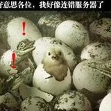 chixuezhenshuai
