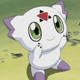 qingmuqiancengsuww