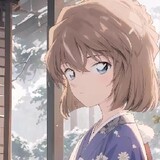 huiyuankimi