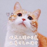 yimunanzhi
