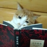lihetiandianyingyuan