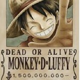 MONKEY_D_LUFFY_ASL