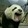 zaixiafeidi