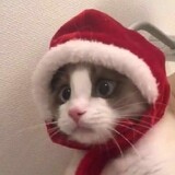 tingxiaochenggushime