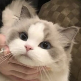 moonjun_aqi