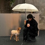 koreyoshi-s