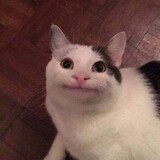 acatcay