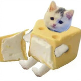 buchiyudekiki
