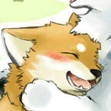 -qingfengjun-