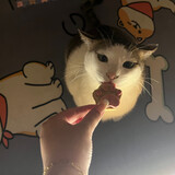 miemieyuernai