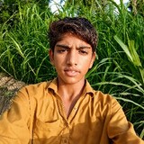 zameerbhai853