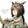 itzbed_la