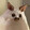 shiko_03