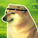 pijuzhangzhu