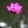 yunhuixiyue