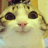 yunsanguo