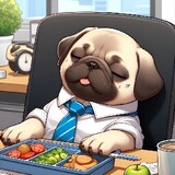 haoyizhijunqiaodezhu