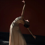 zhuayuyu-
