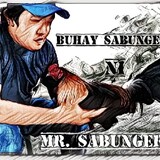 Mr_sabungero83