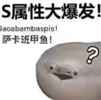 9738abc