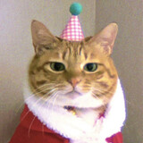 linyiquan