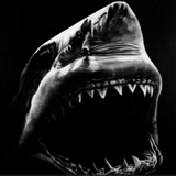 DarkShark74