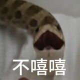 laocaogouza