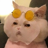 qdanpiji___ian