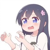 moshizhususu