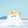 shuipingstudio