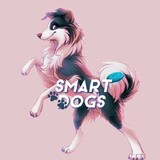 SMARTDOGS