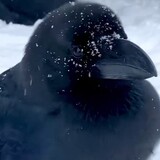 sleepyyog_05_02