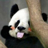 yikouyigexiaogege゜