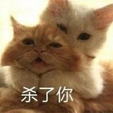 ayuannulizhong