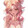 Shingkishi
