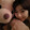 -baomihuahaomei-