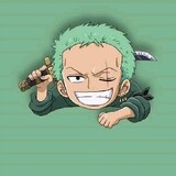 Zoro'09