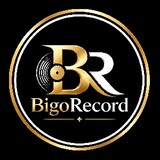 BigoRecord