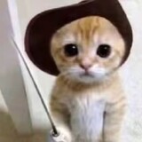 ______jiaozhuy