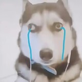 beiermodewanrela