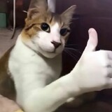 xunyunnasa