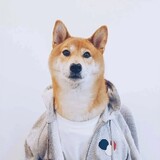 wokeshilaoyang