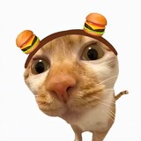 yaobuyaoshuijue