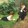 notu_04