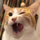 tianxihuoxingren
